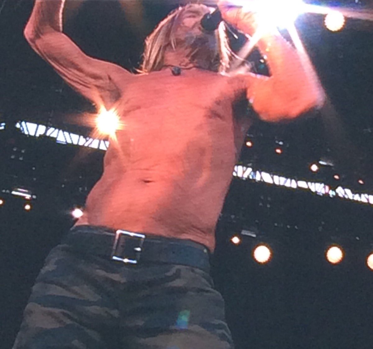 Iggy-Pop-scène-2