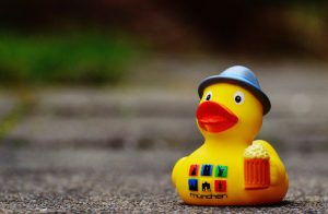 Attachés à l’échange client/vendeur, les consommateurs préfèrent être conseillés plutôt que d’acheter n’importe quoi sur le net, surtout quand ils n’y connaissent rien ou presque rien.