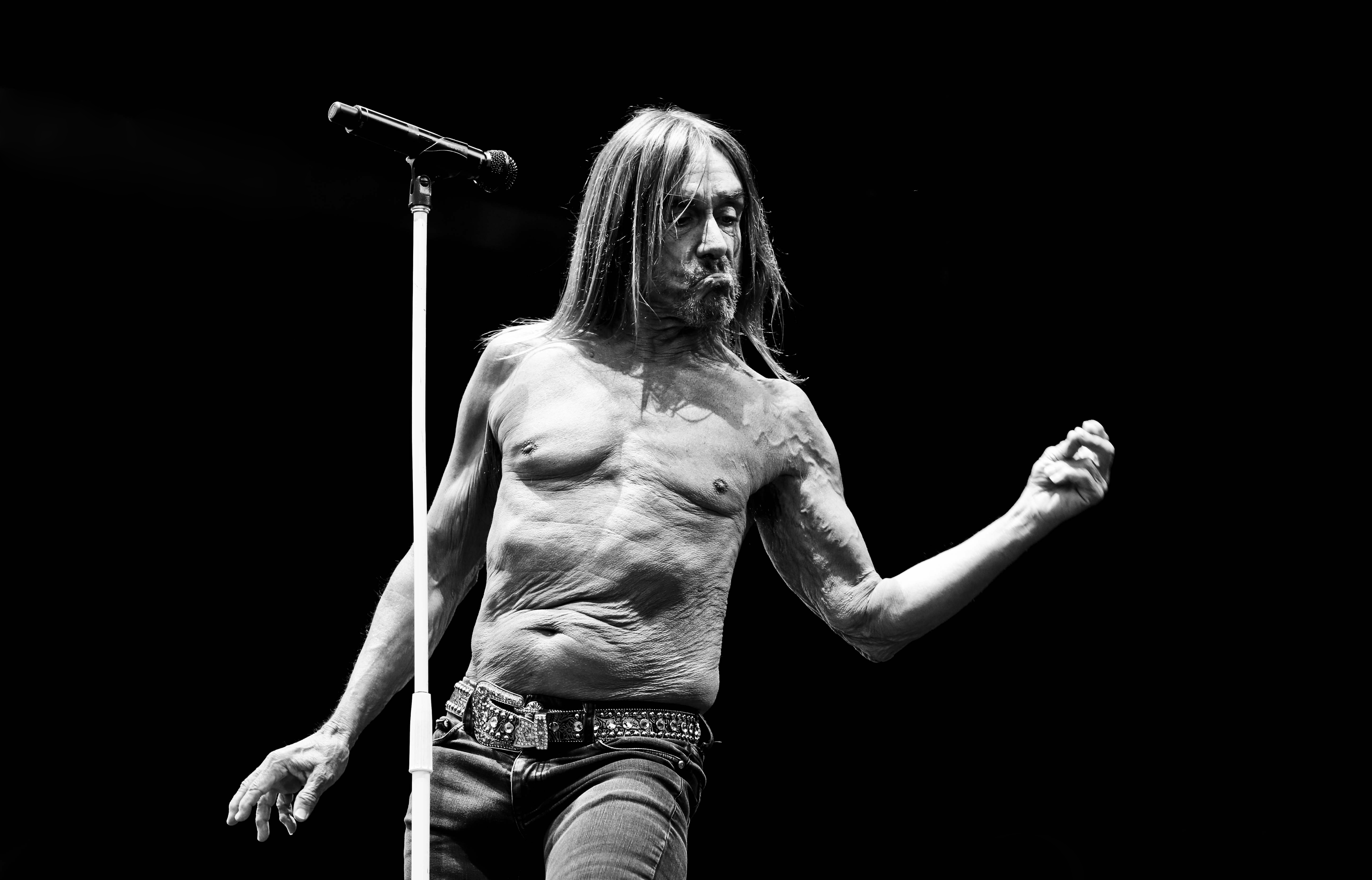 Iggy Pop aux Escales 2016 à Saint-Nazaire