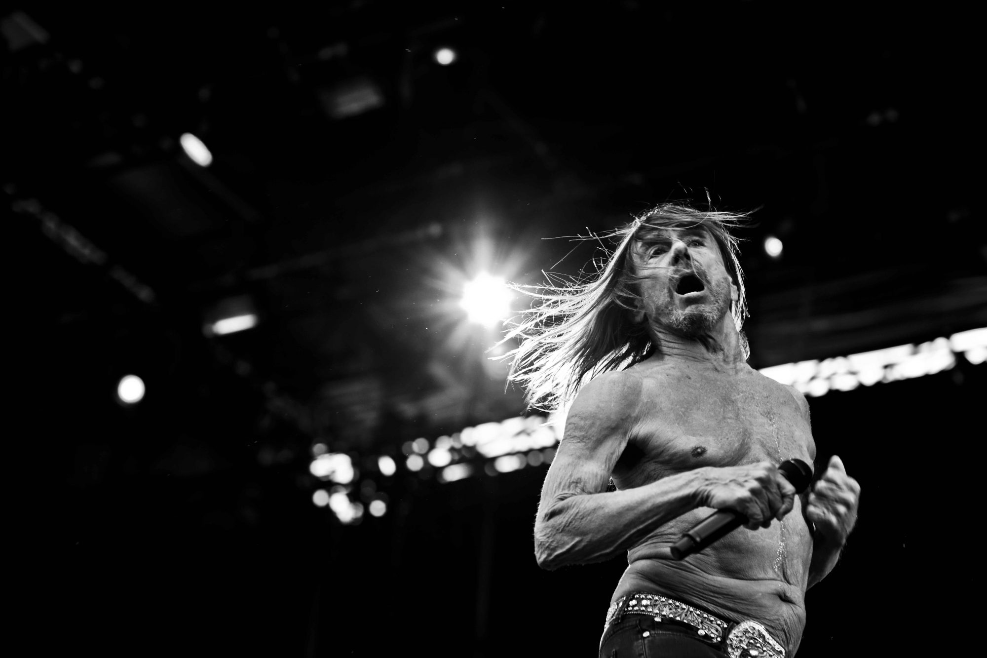 Iggy Pop Photo Patrice Molle