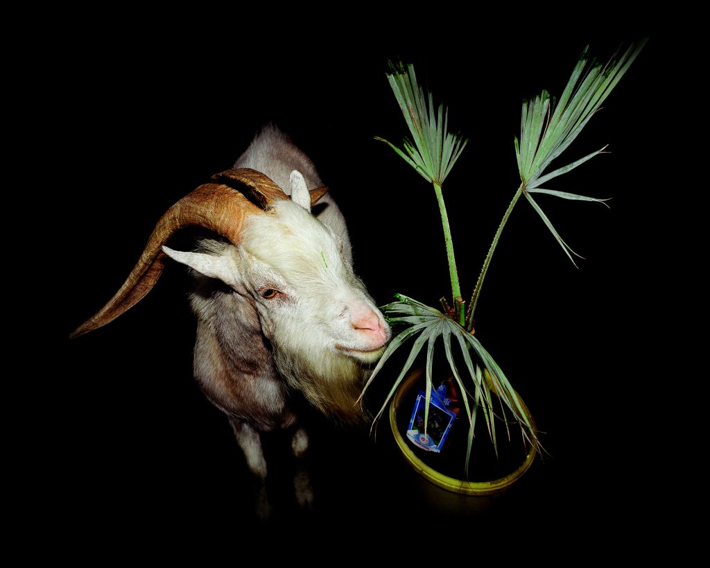 Louis Matton - Objets autonomes (exposition au Temple du goût)