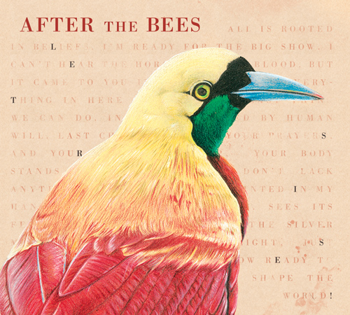 Pochette-album-Lets-Rise-design-Coralie-Coton-illlustration-Elise-Roy_web
