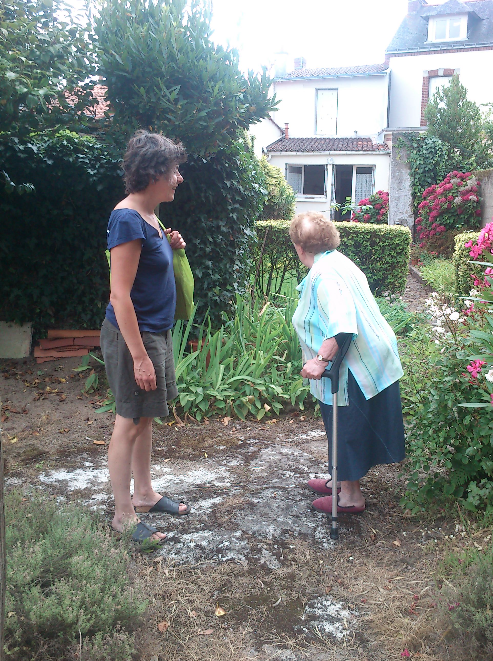 Bouturages3