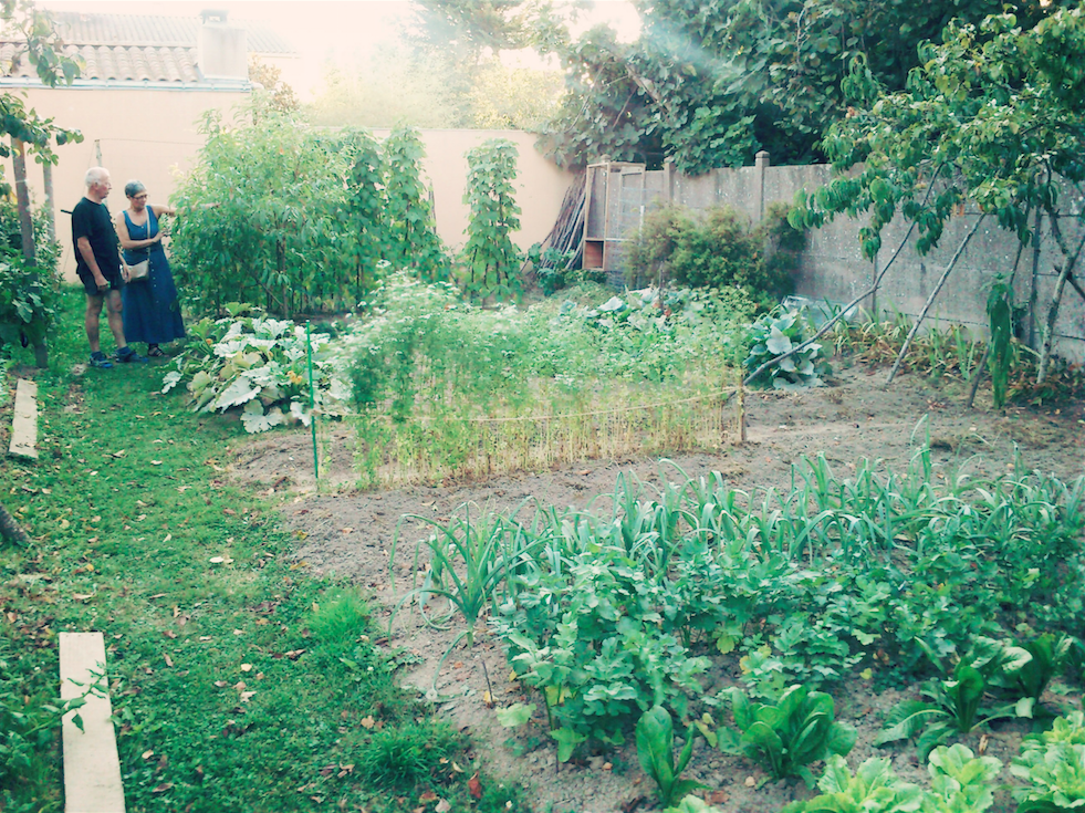 bouturages-jardin