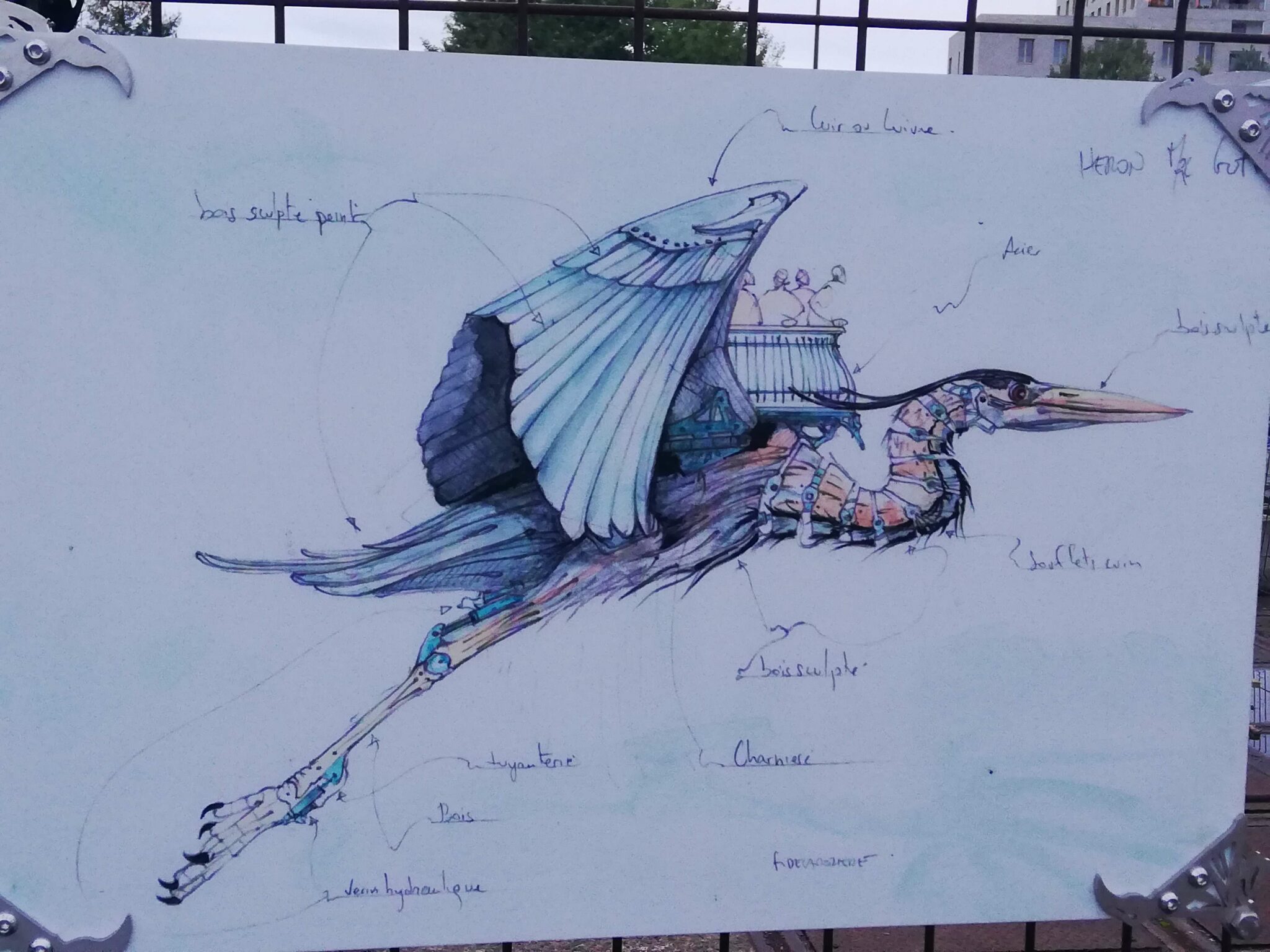 croquis-heron-scaled