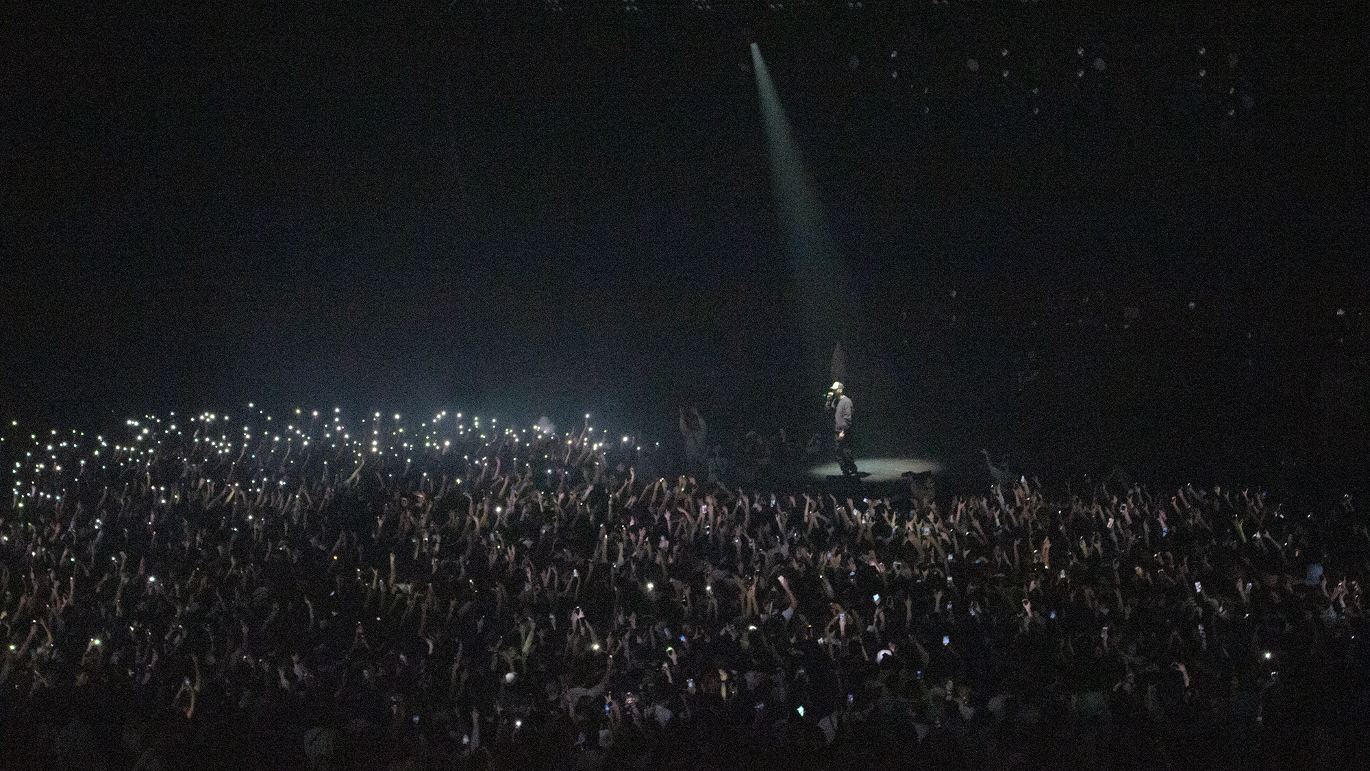 coelho-lumieres-2
