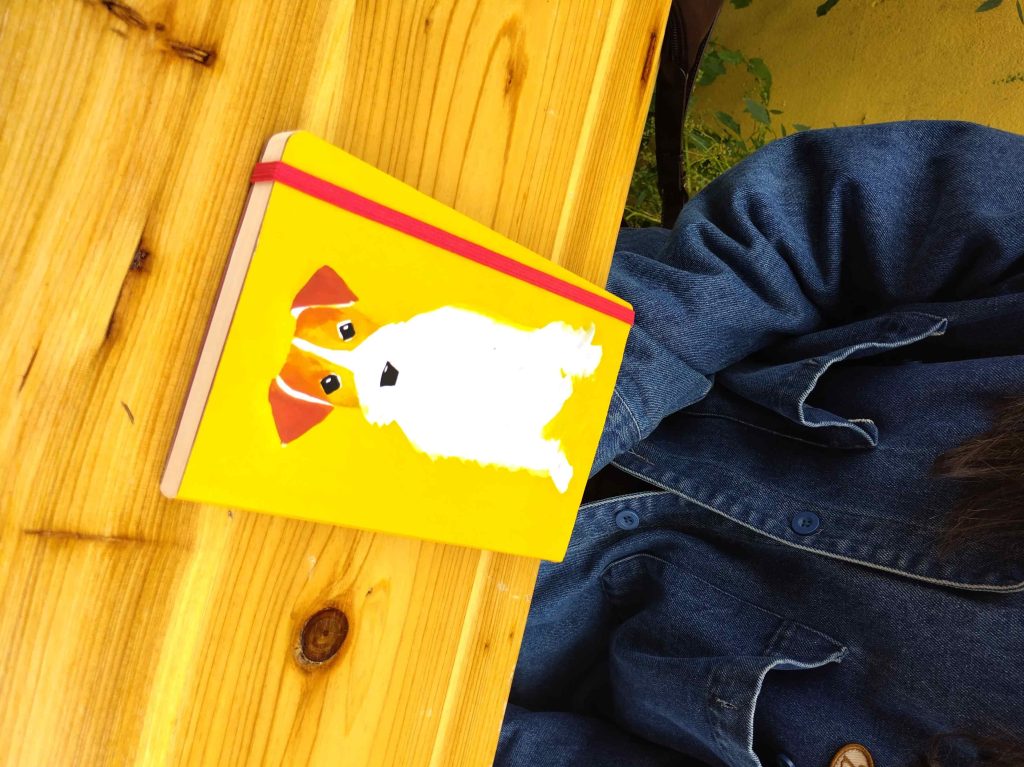 nouvelle année, nouveau carnet pour Camille