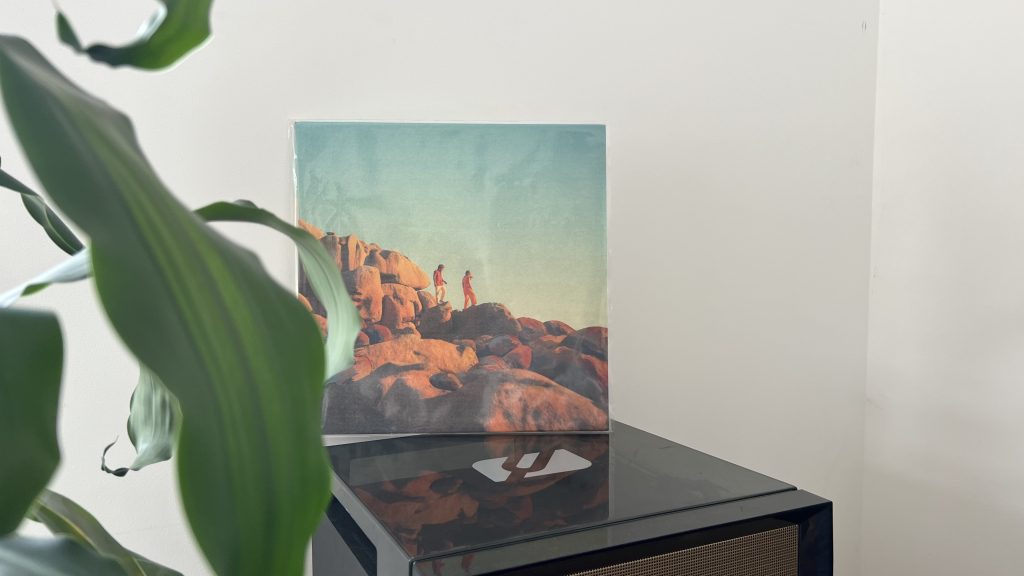 Pochette de l'album Pour les Grands de Coconut