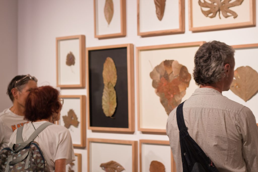 Feuilles, souvenirs, objets cassés ou abandonnés : Justin Palermo part de matériaux fragiles et ordinaires auxquels il cherche à offrir une seconde vie. Son exposition Réparer l’invisible se visitera dans l’ensemble du Passage jusqu’au 28 novembre 2026. Photo : Amélie Fortin, le 24/09/2026
